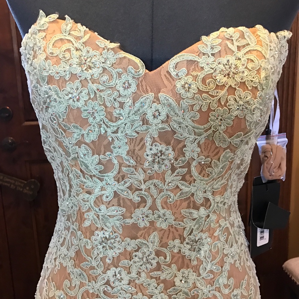 TERANI Lace Illusion Dress NWT - Picture 3 of 7